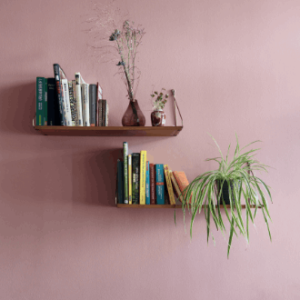 Premium Wall Papers product 4